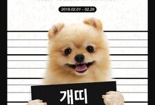 [2월 이벤트]개띠고객 모든프로그램 50%할인!